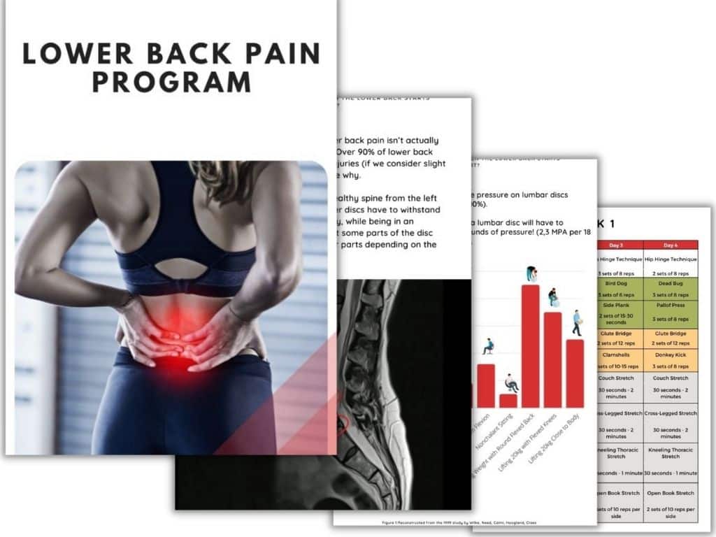 Lower Back Pain